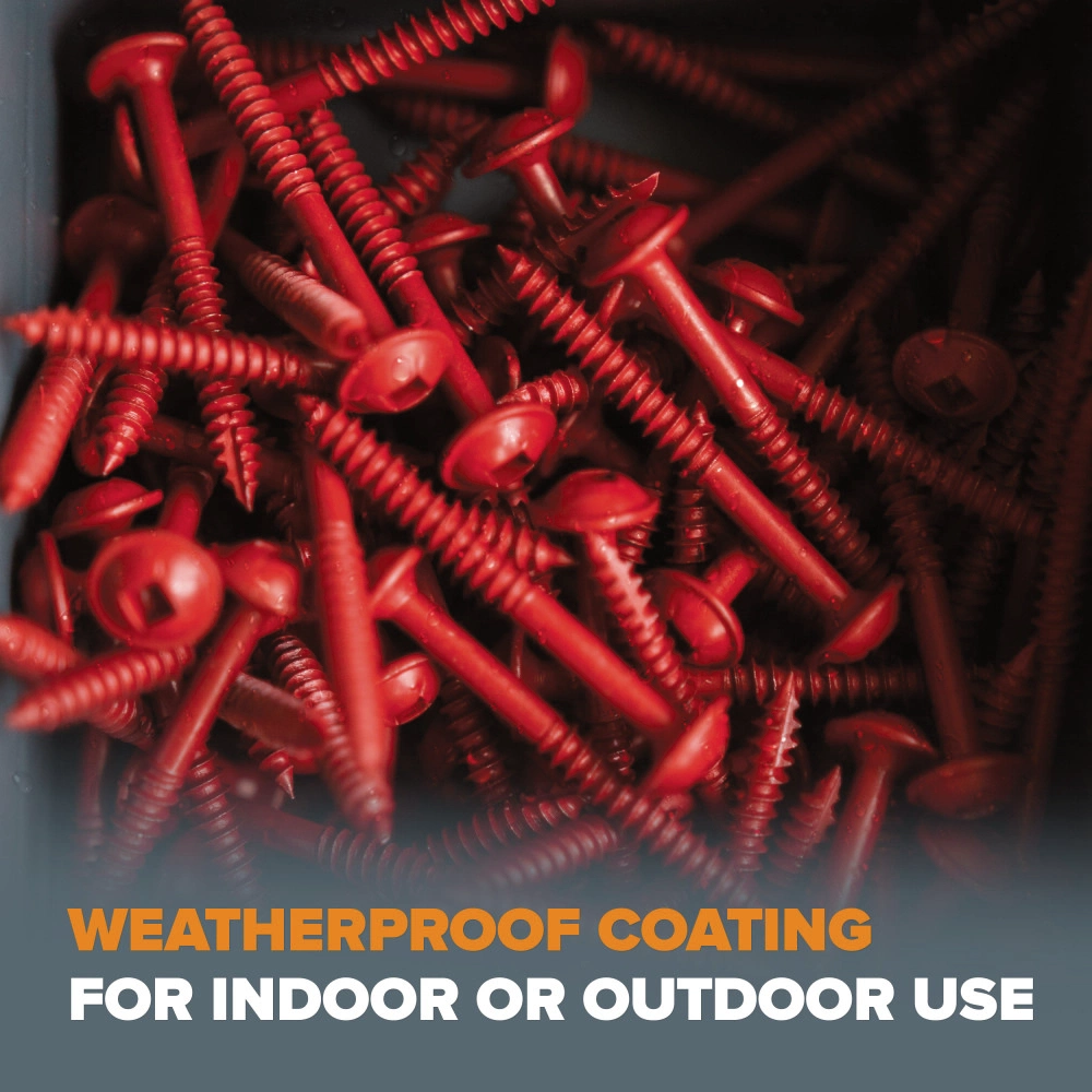 BORA 800-Piece Pocket-Hole Screw Kit Fine | BR-A180403