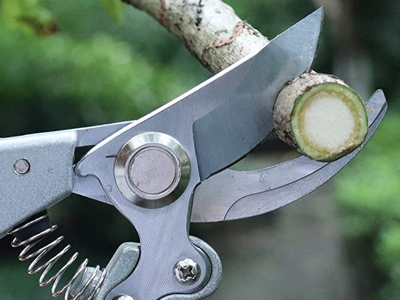 Pruning Shears Power Tool Services
