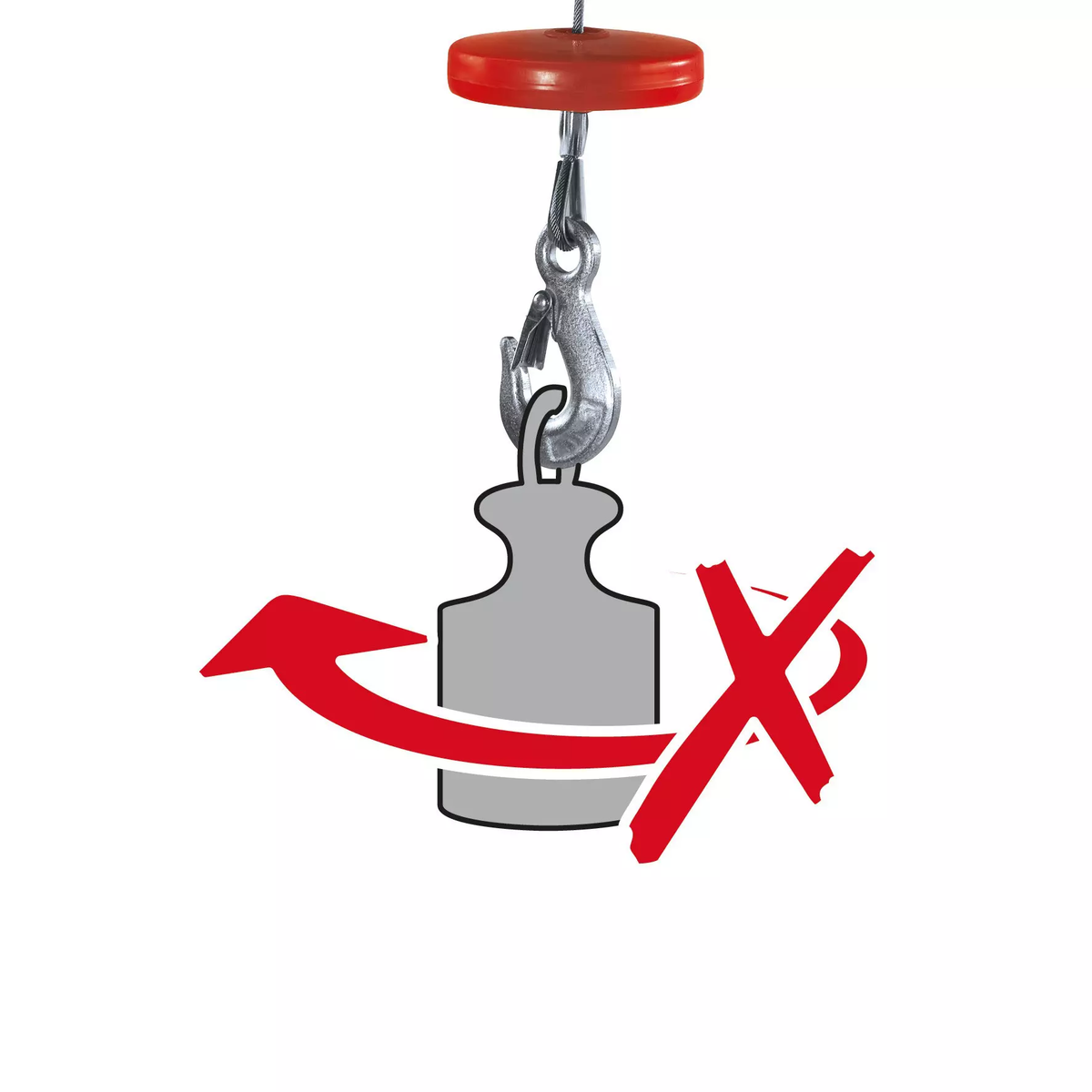 Einhell Electric Hoist TC-EH 250