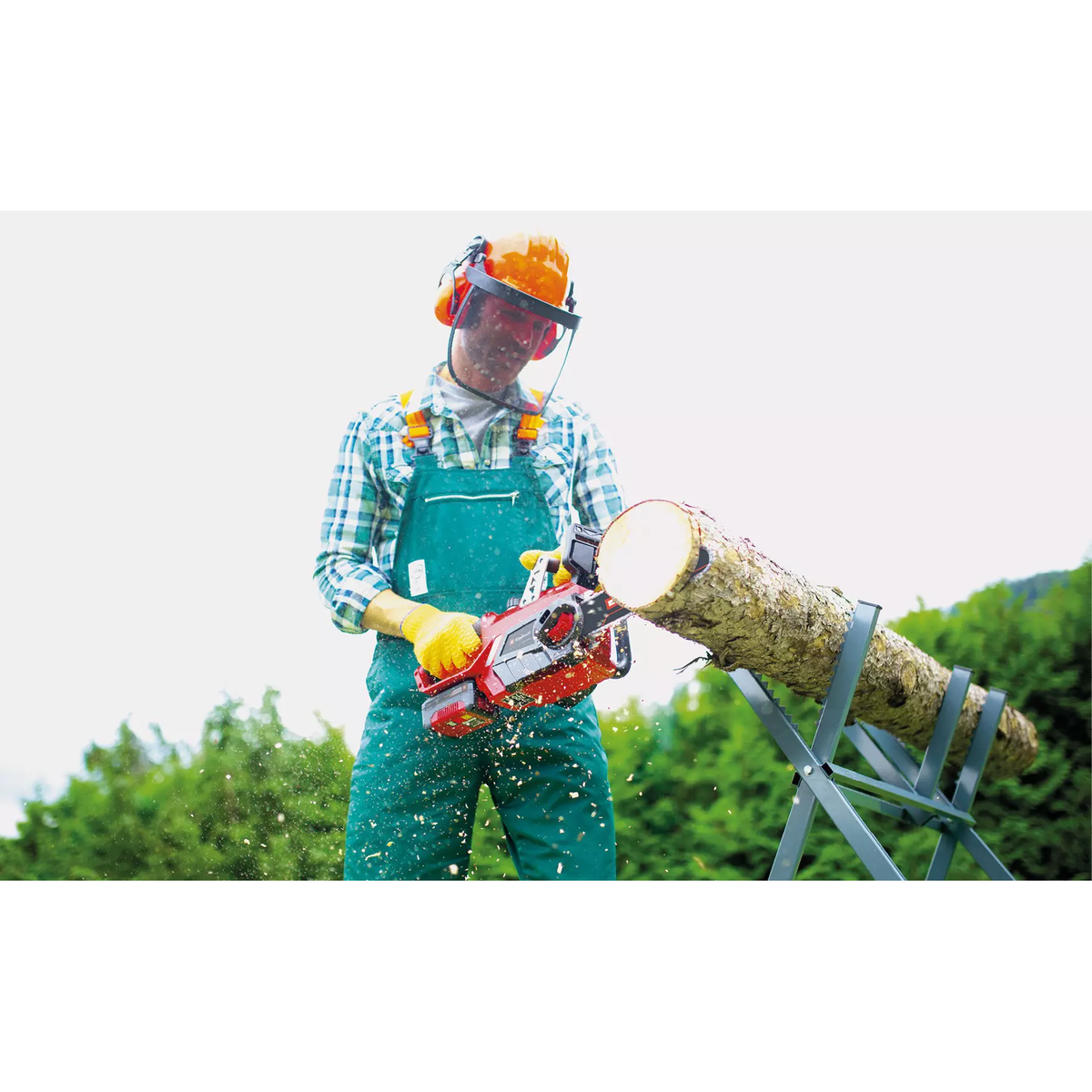 Einhell Cordless Chain Saw GE-LC 18/25-1 Li Kit (1x3,0Ah)